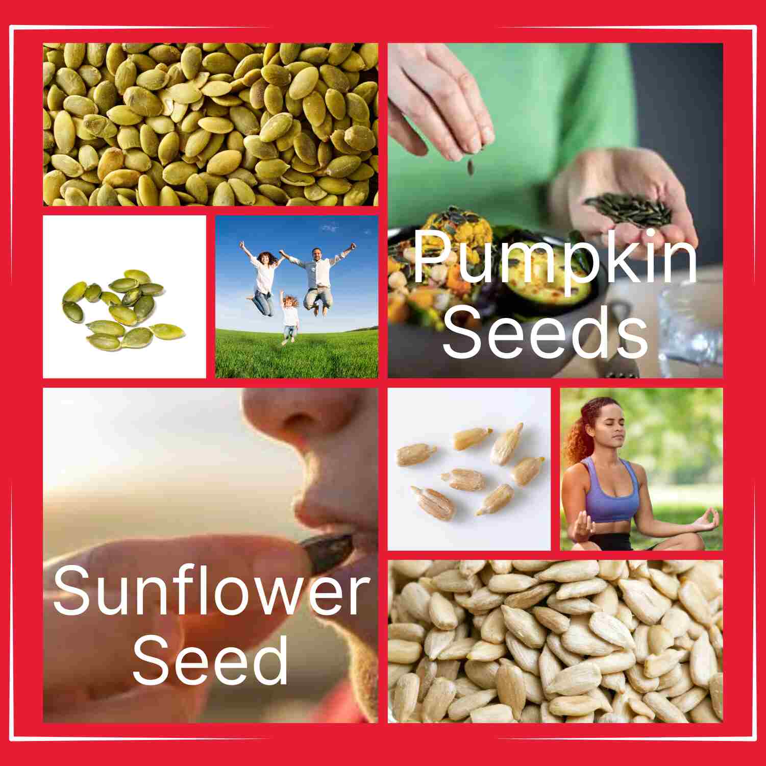 Sunflower Seed and Pumpkin Seed Combo 500g