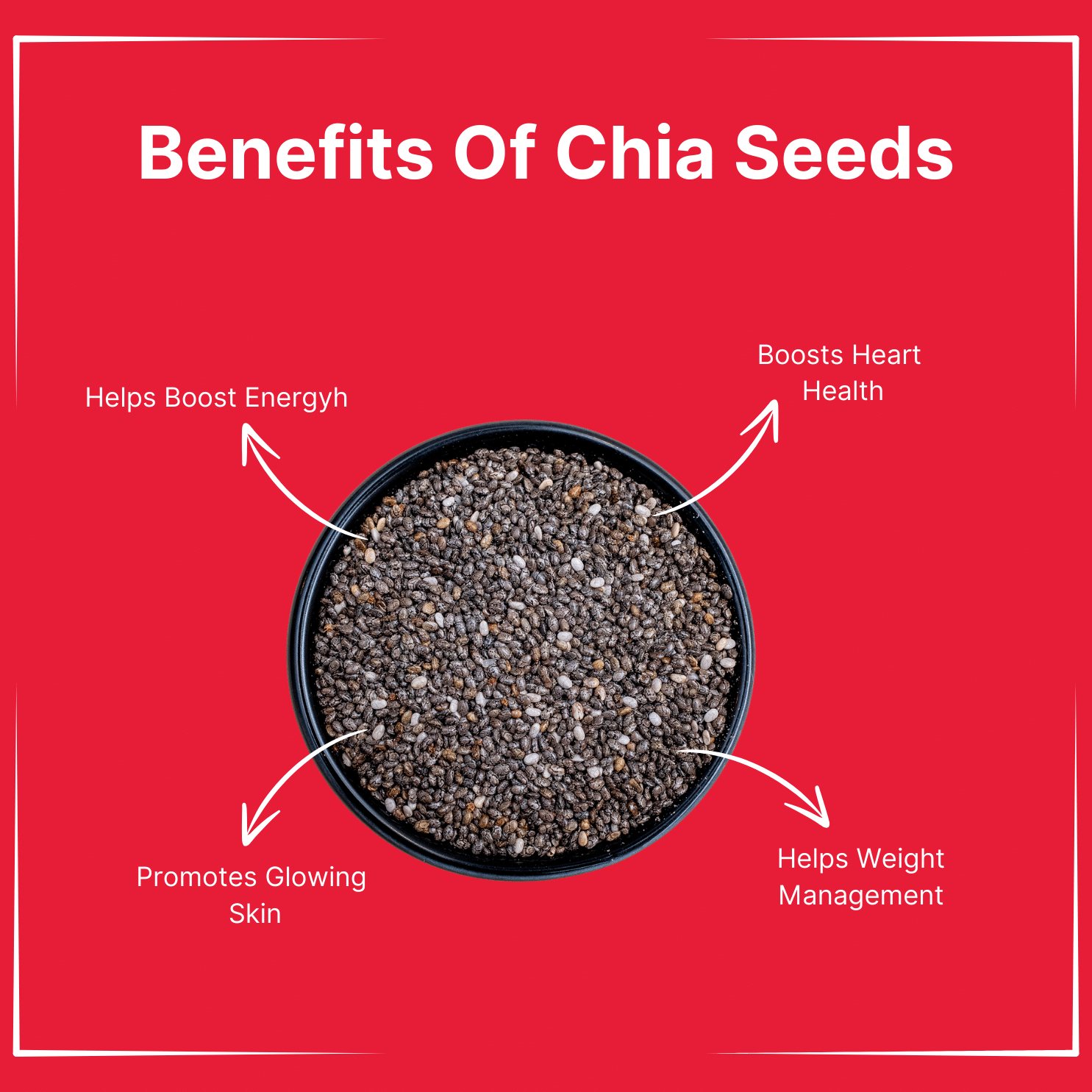 Raw Chia Seed 500g