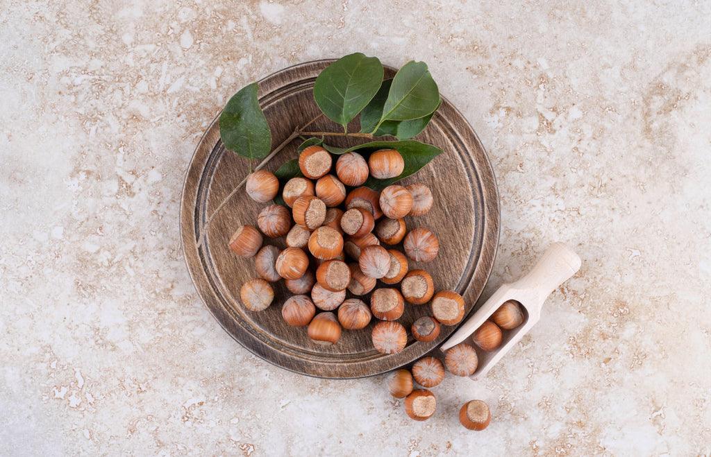 Top 10 Informative Facts About Macadamia Nuts