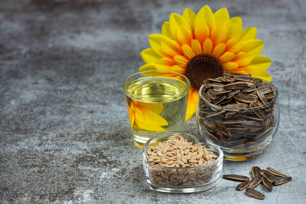 Surprising Health Benefits of BoYo Sunflower Seeds One Must Know