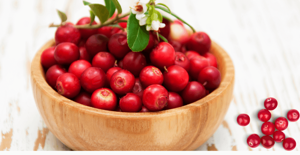 Surprising Health Benefits of Adding Cranberries to Your Diet