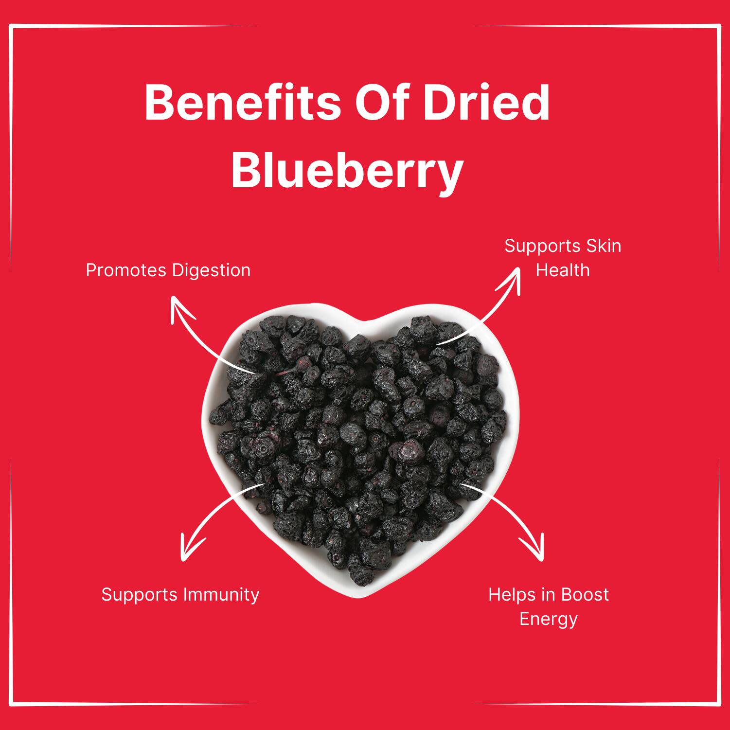 Whole  Dried Blueberry 250g