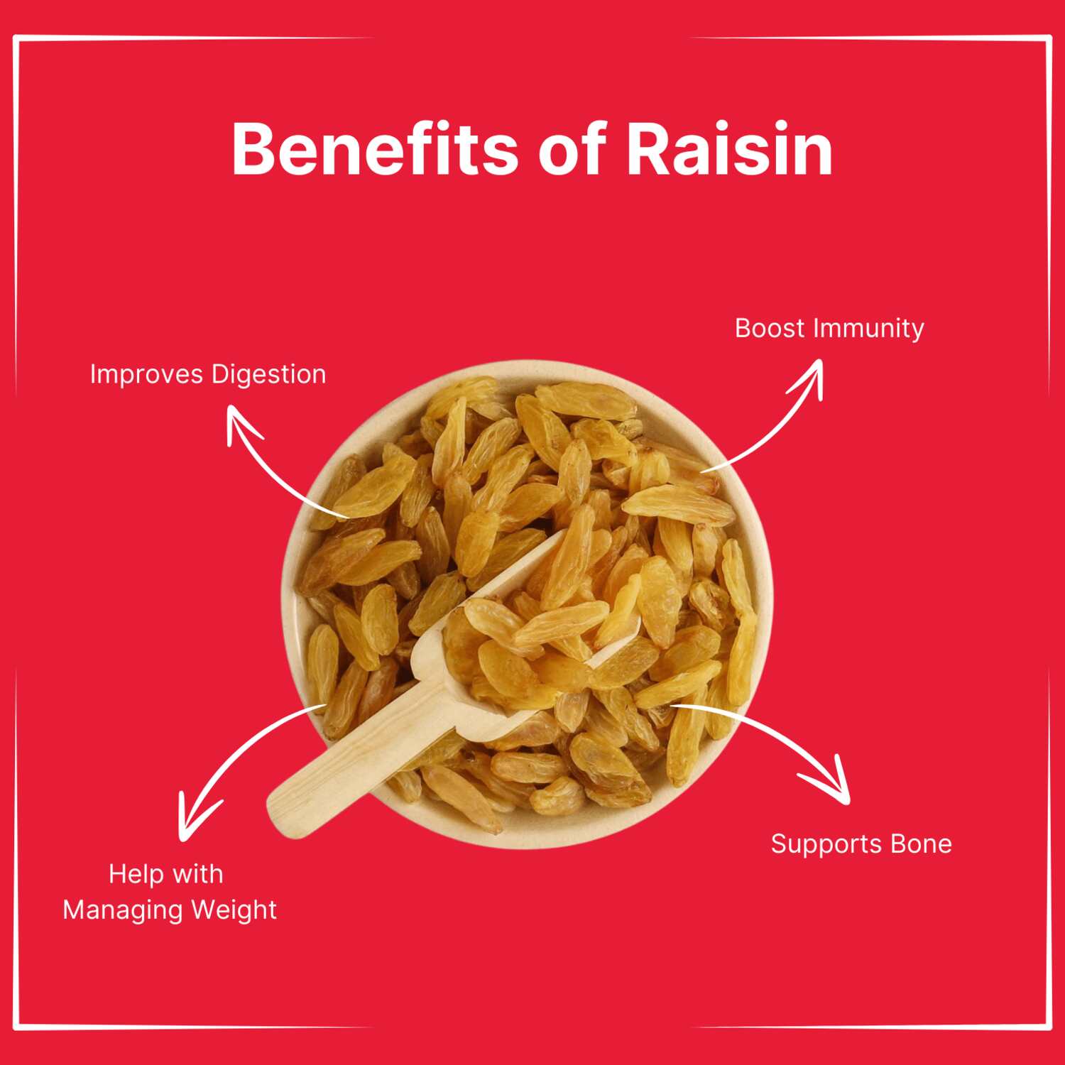 Raw Raisin - Golden Yellow Long (Kishmish) 500g